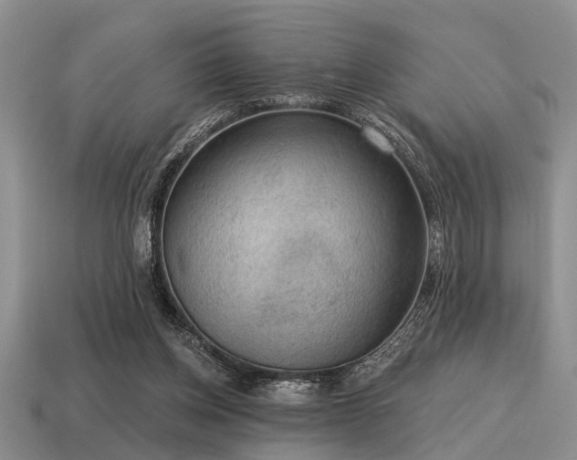X0000115610158200911101434