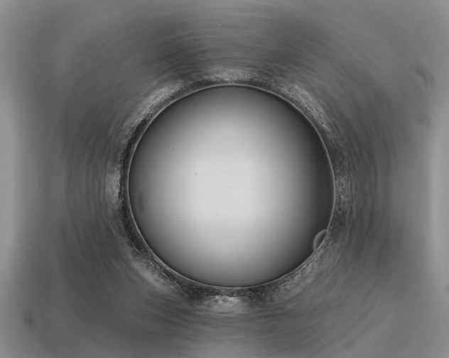 X0000115610159200911101434