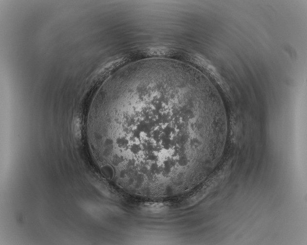 X0000115610161200911101434