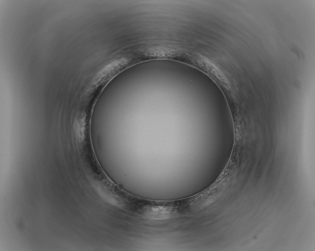 X0000115610163200911101434