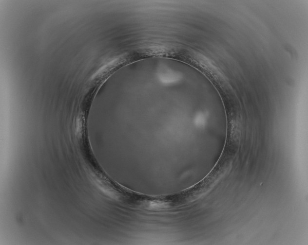 X0000115610165200911101434