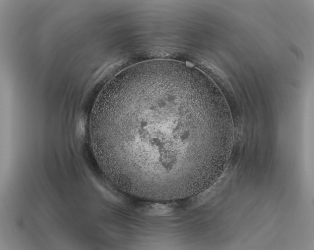X0000115610166200911101434