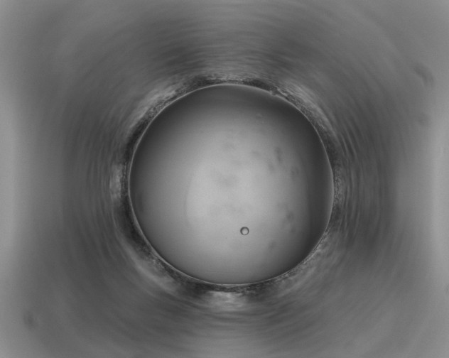 X0000115610167200911101434
