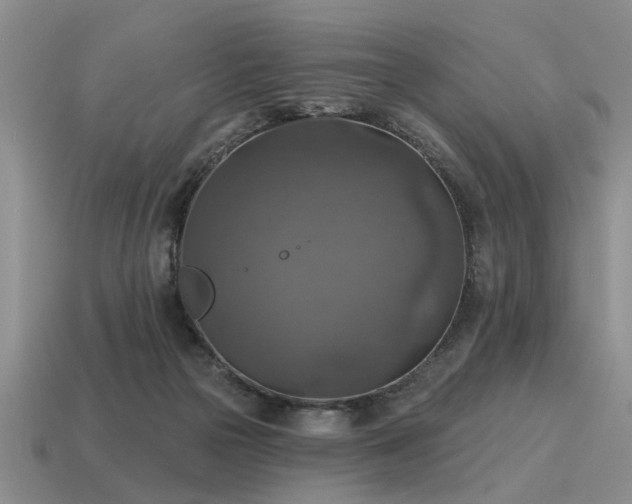 X0000115610169200911101434