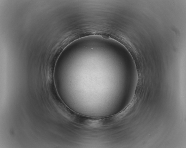 X0000115610170200911101434