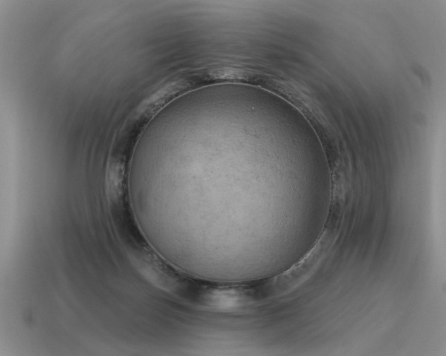 X0000115610171200911101434