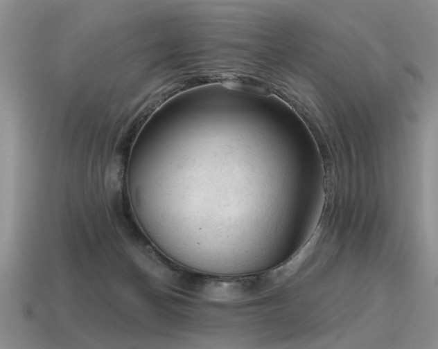 X0000115610174200911101434