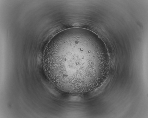 X0000115610175200911101434