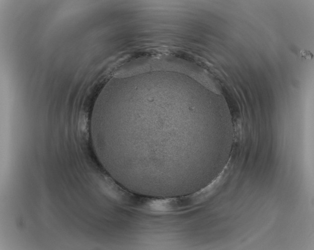 X0000115610178200911101434