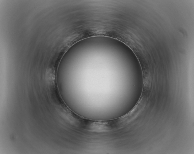 X0000115610179200911101435