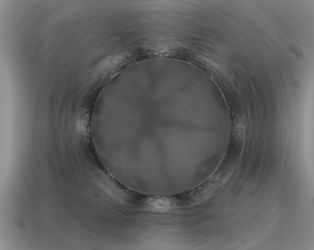 X0000115610181200911101435
