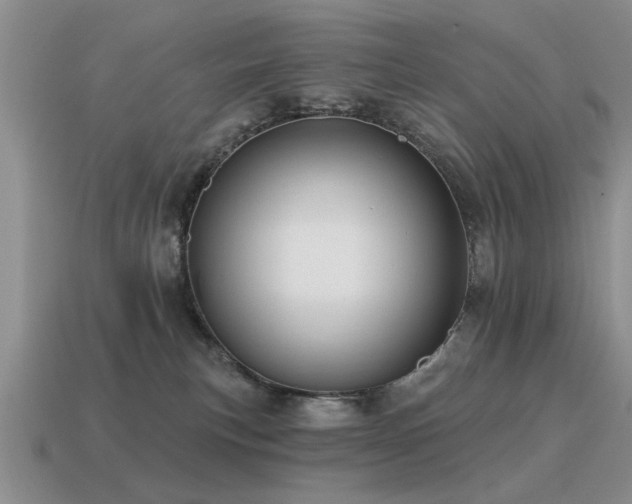 X0000115610183200911101435