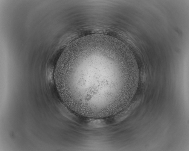 X0000115610185200911101435
