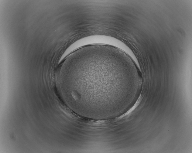 X0000115610186200911101435