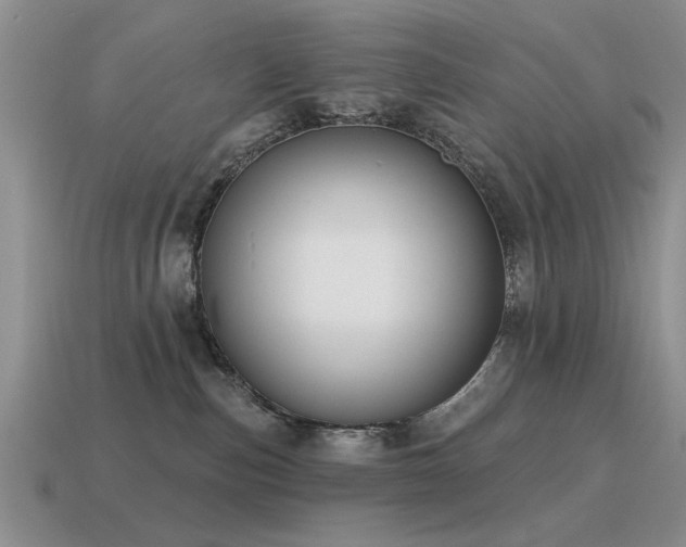 X0000115610187200911101435