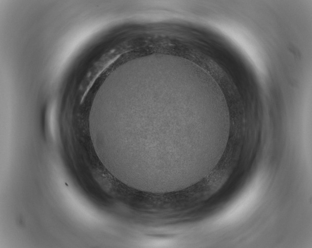 X0000115610189200911101435