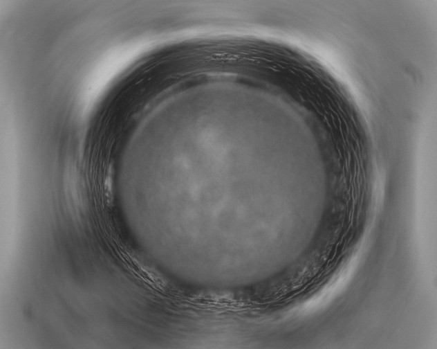 X0000115610194200911101434
