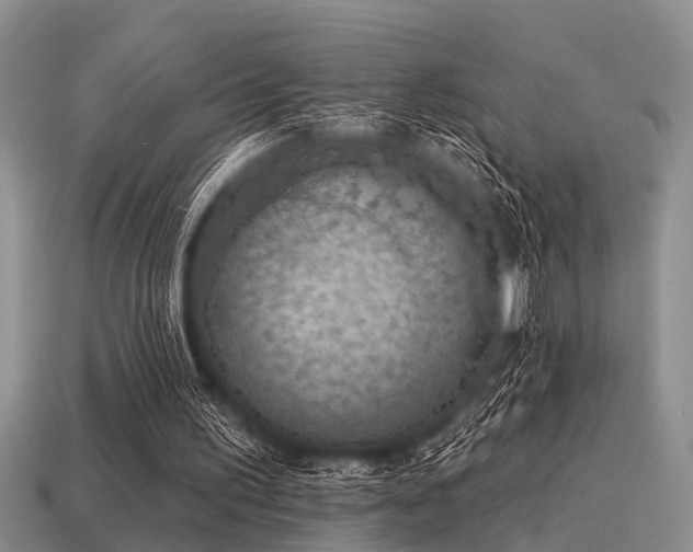 X0000115610195200911101434