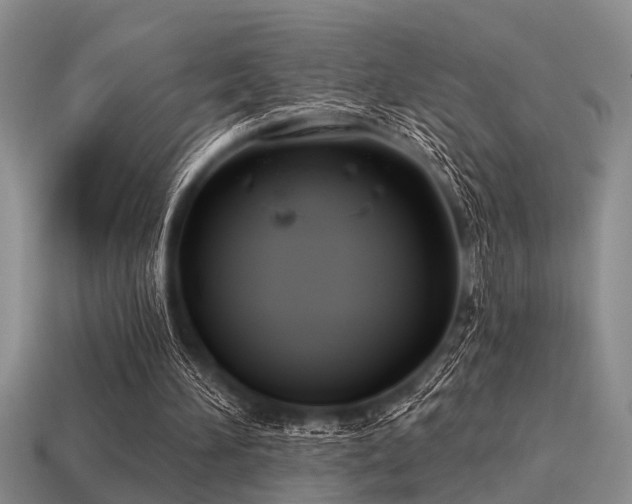 X0000115610196200911101434