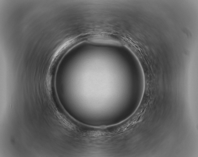 X0000115610197200911101434
