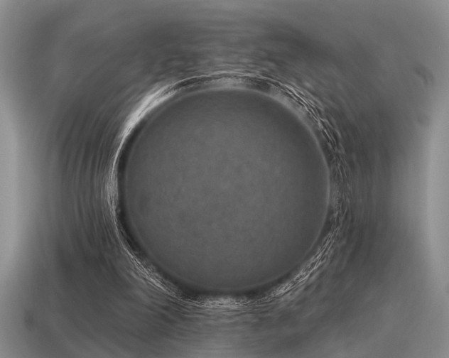 X0000115610198200911101434