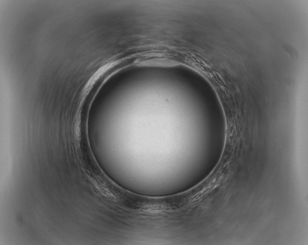 X0000115610200200911101434