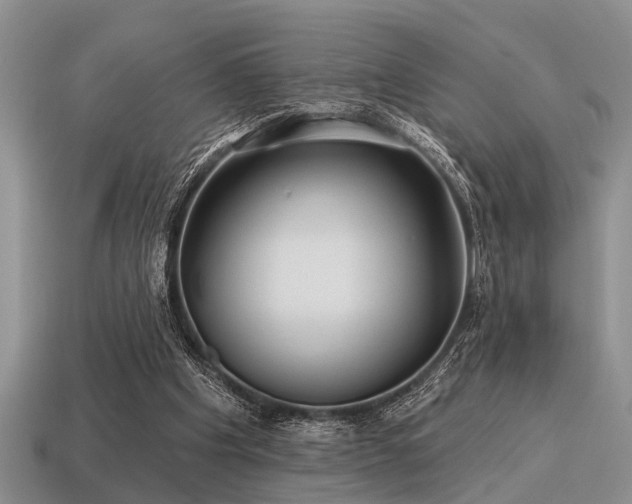 X0000115610201200911101434