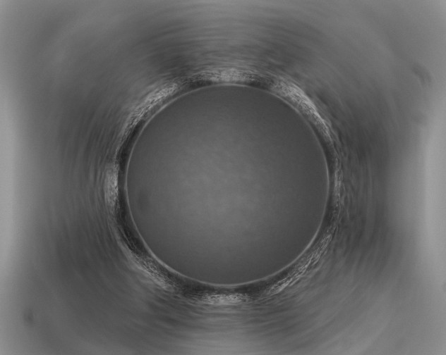 X0000115610202200911101434