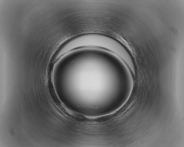 X0000115610203200911101434