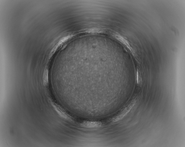 X0000115610205200911101434