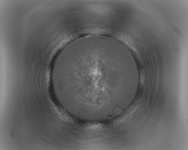 X0000115610206200911101434