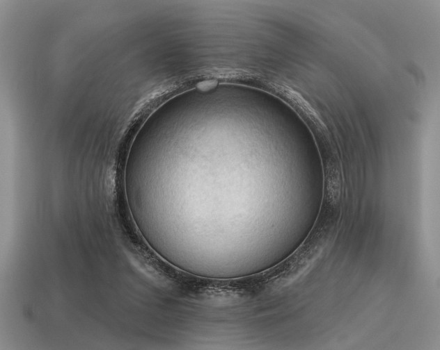 X0000115610207200911101434