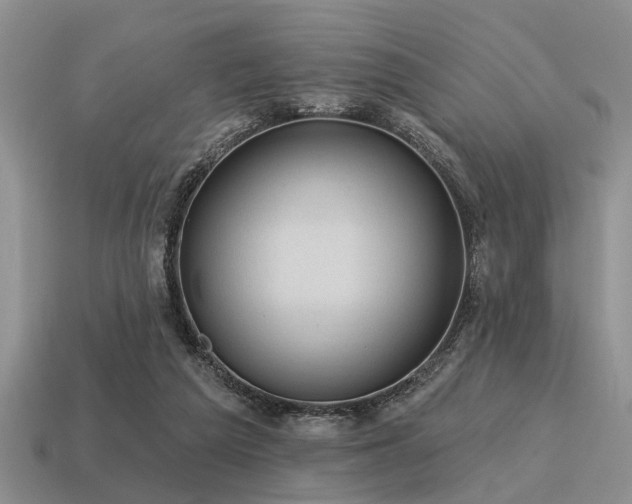 X0000115610209200911101434