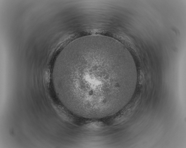X0000115610210200911101434