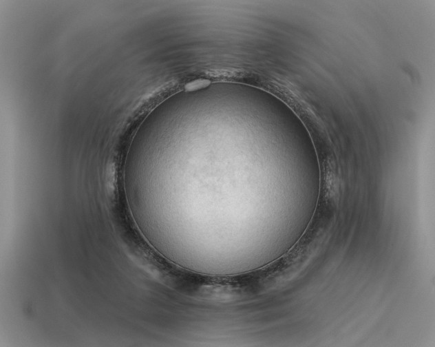 X0000115610211200911101434