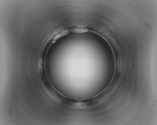 X0000115610212200911101434