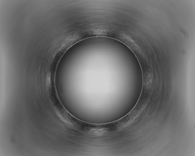 X0000115610213200911101434