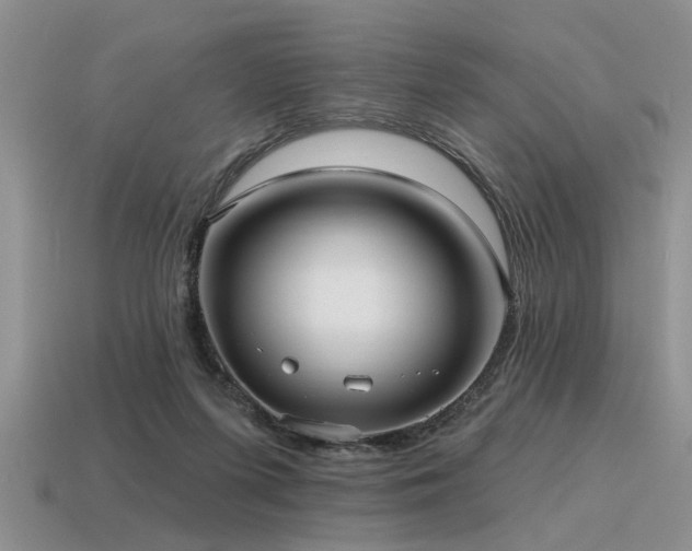 X0000115610215200911101434