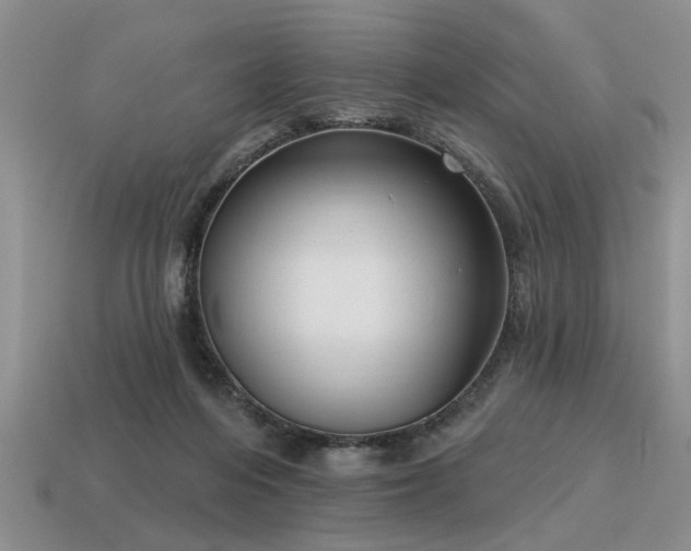 X0000115610216200911101434