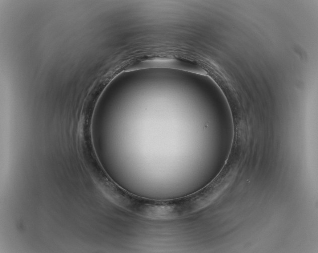 X0000115610217200911101434