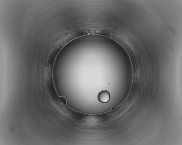 X0000115610218200911101434