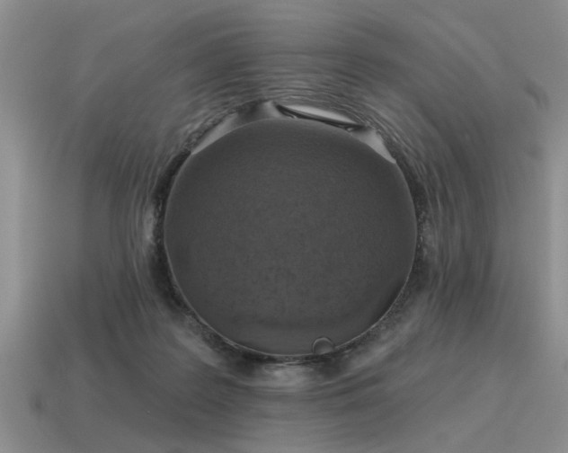 X0000115610219200911101434