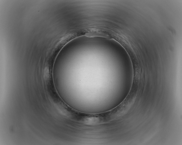 X0000115610220200911101434