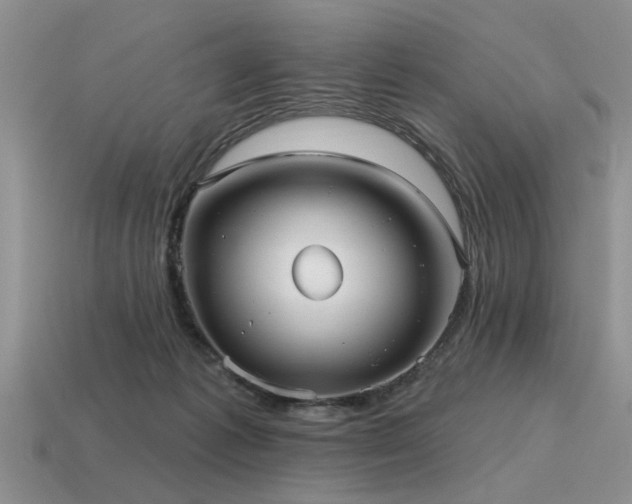 X0000115610221200911101434