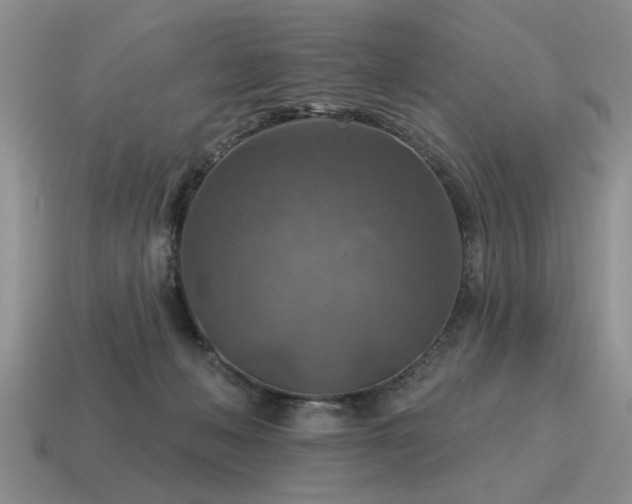 X0000115610222200911101434