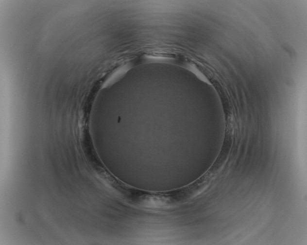 X0000115610223200911101434