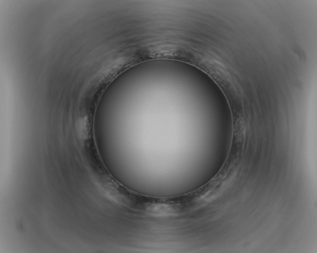 X0000115610224200911101434
