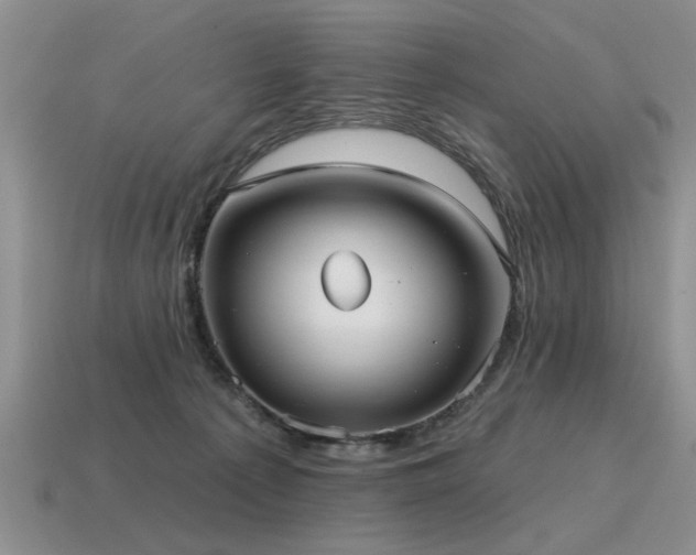X0000115610225200911101434
