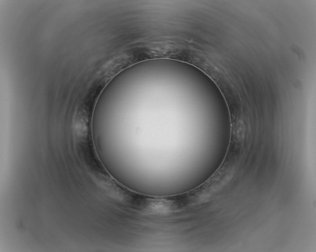 X0000115610226200911101434