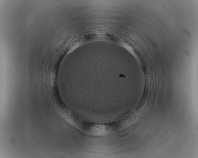 X0000115610227200911101434
